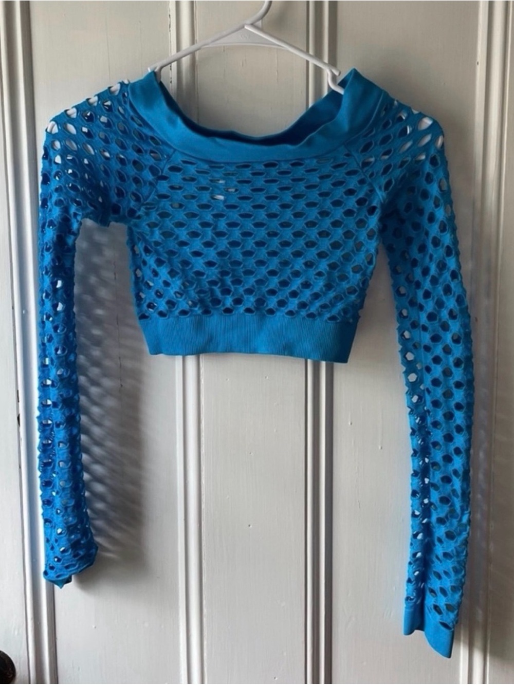 Blue Mesh Long-Sleeve Crop Top